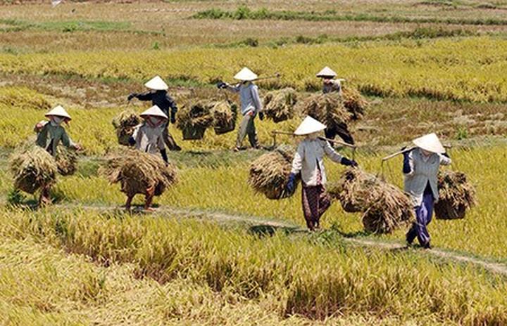 [Hotspot Matrix chia sẻ kinh nghiệm: Tại sao style
