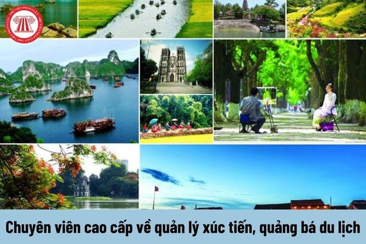 Xu hướng Ông Donald Trump cùng gia: Hotspot Matrix tiết lộ bí quyết video viral