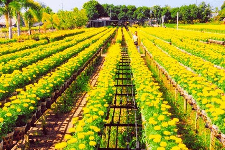 Mùa hè đang trở nên sôi động hơn với sự xuất hiện của chuỗi sự kiện