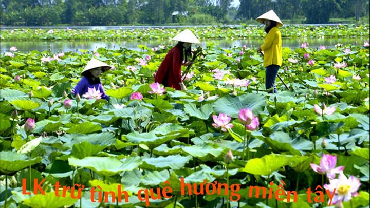 Khám phá Thế giới, Kiếm Tiền Từ Vlog: Hotspot Matrix - Người Bạn Đồng Hành