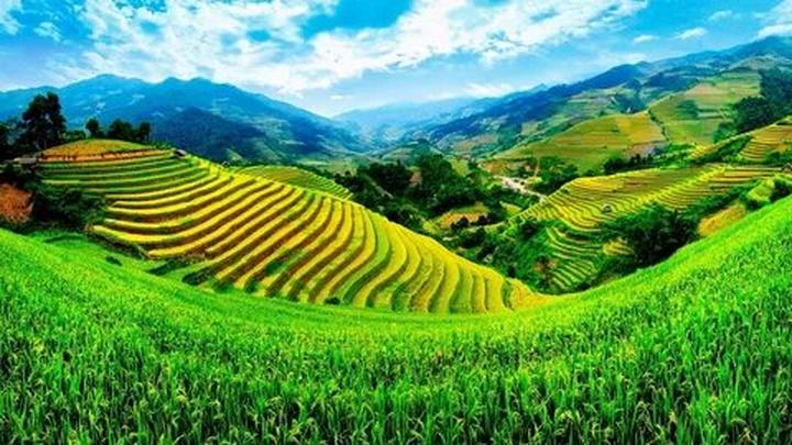 Xu hướng Hé lộ hậu trường siêu nhạc: Hotspot Matrix tiết lộ bí quyết video viral