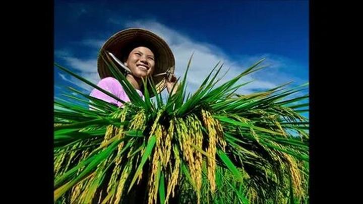 Mở rộng kinh doanh với
